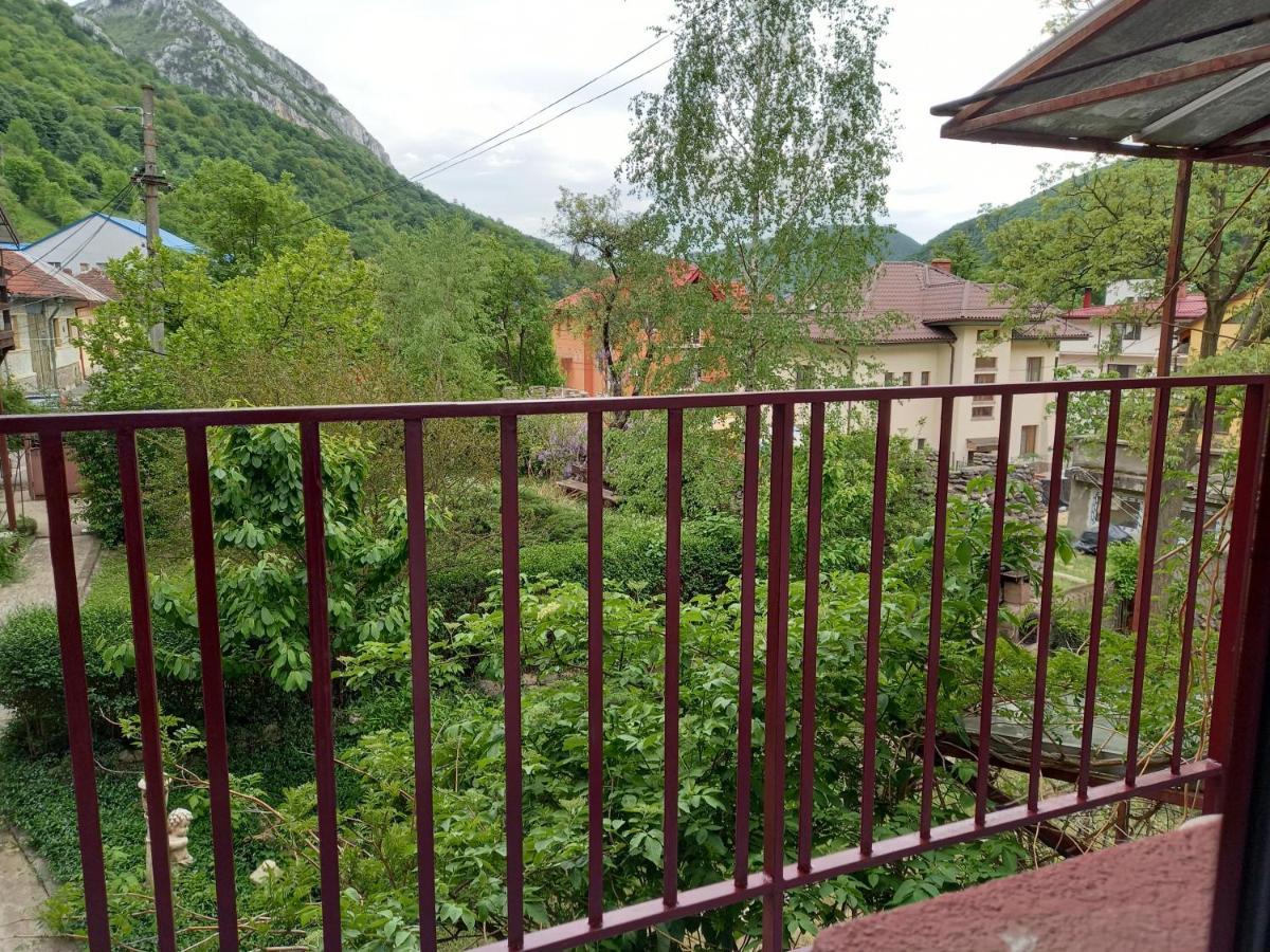 Hotel Elite Băile Herculane المظهر الخارجي الصورة
